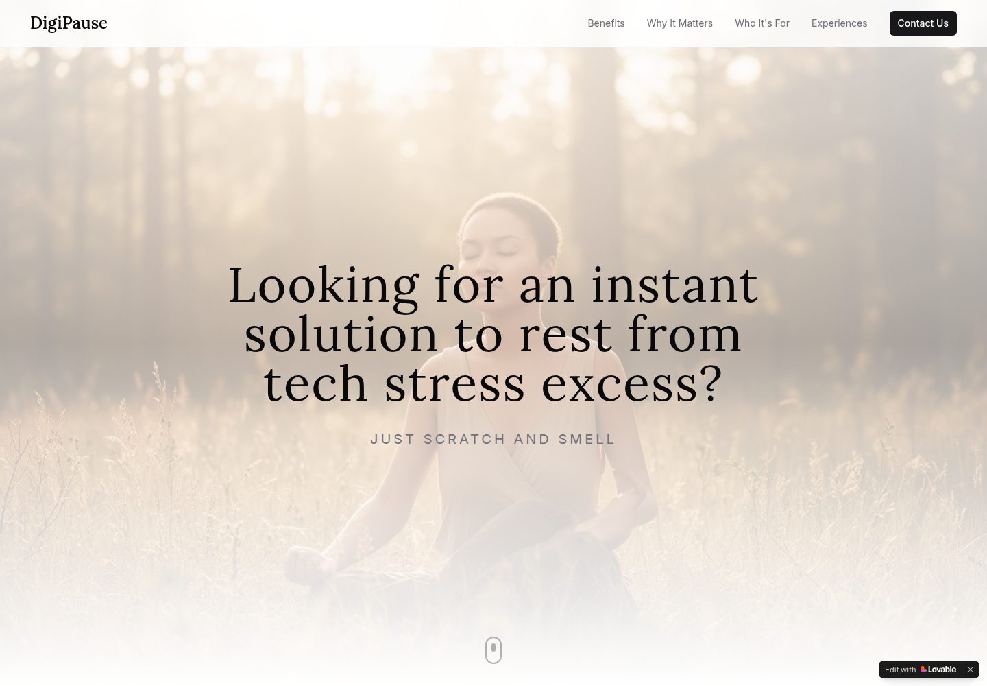 DigiPause public website screenshot