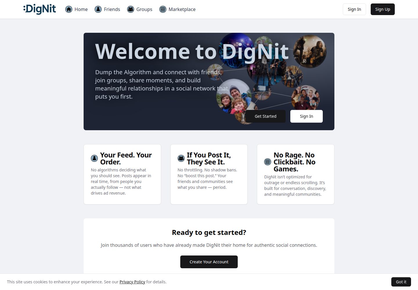 DigNit public website screenshot