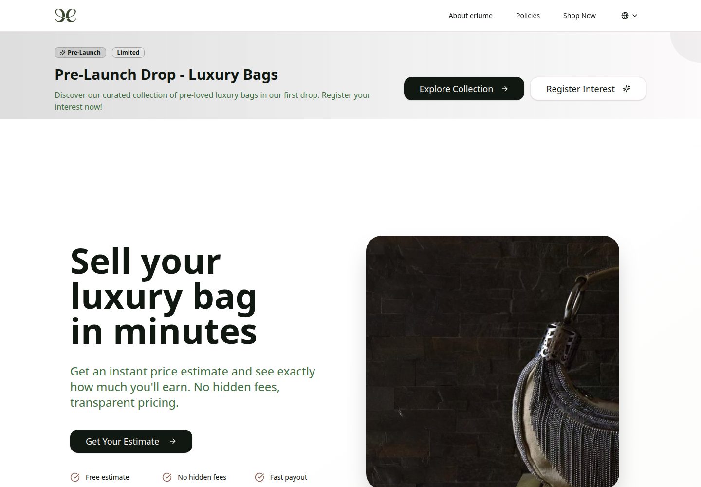 erlume public website screenshot