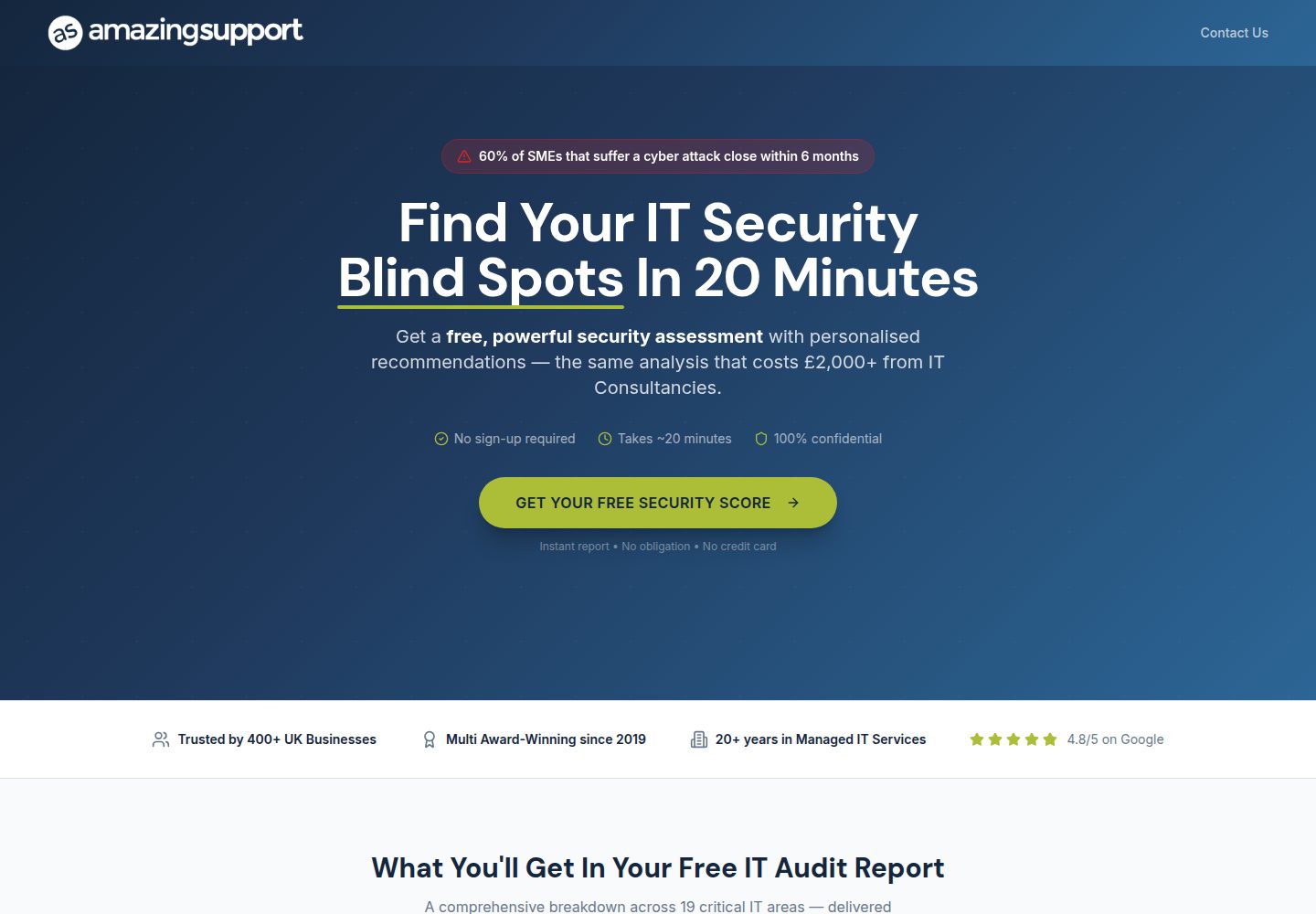 Free IT Audit Report public website screenshot