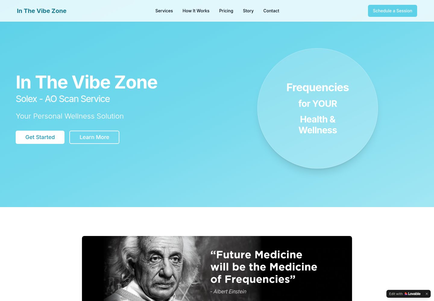 In The Vibe Zone public website screenshot