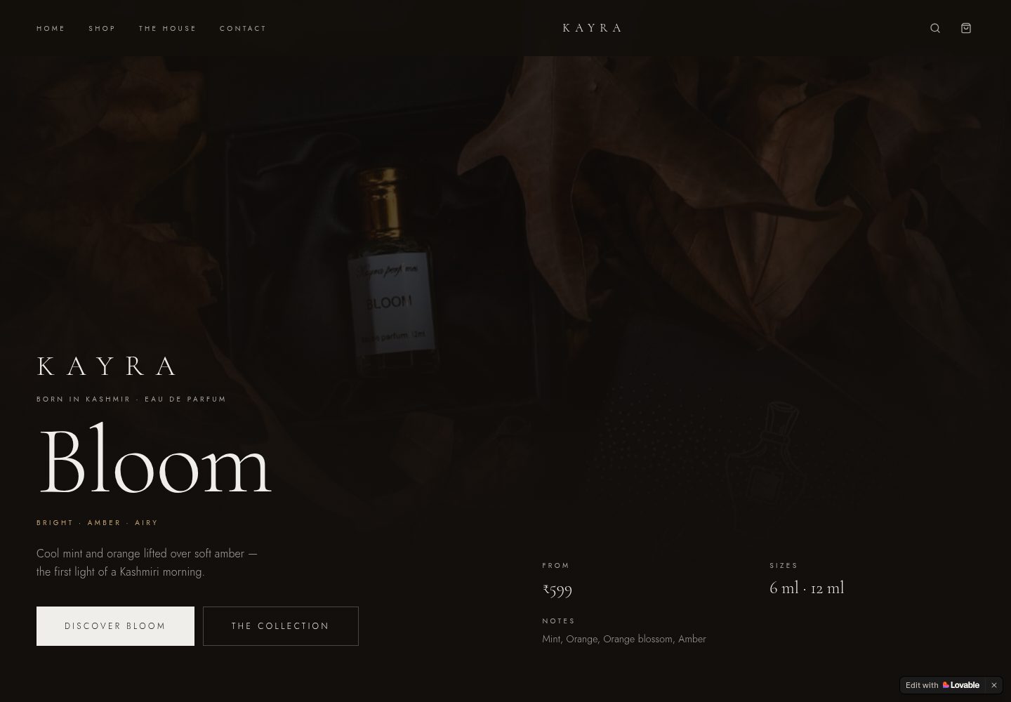 Kayra public website screenshot