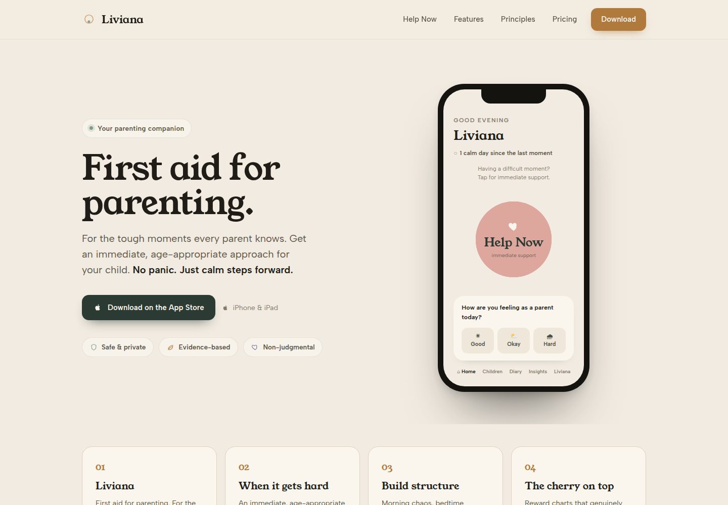 Liviana public website screenshot
