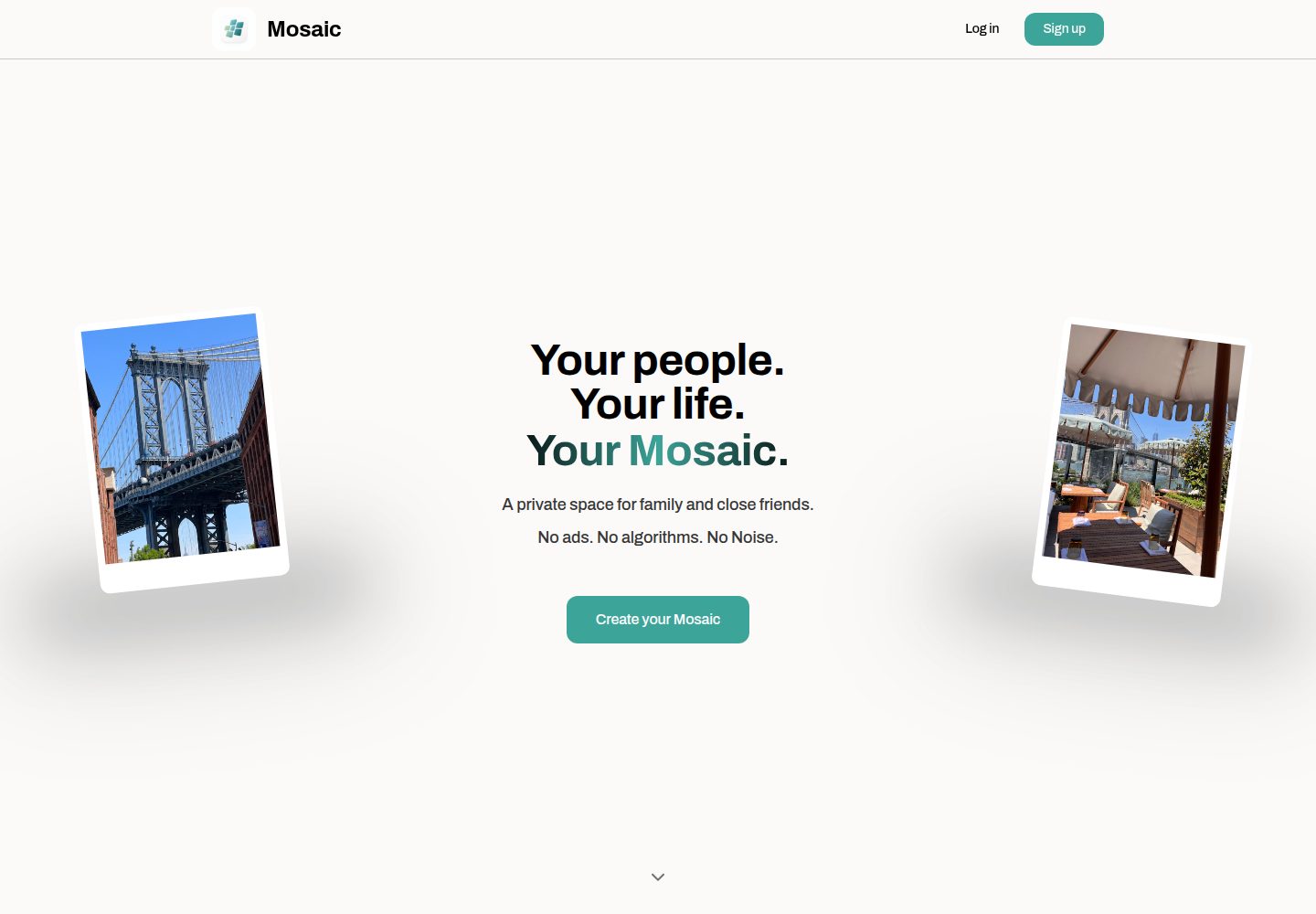 Mosaic public website screenshot