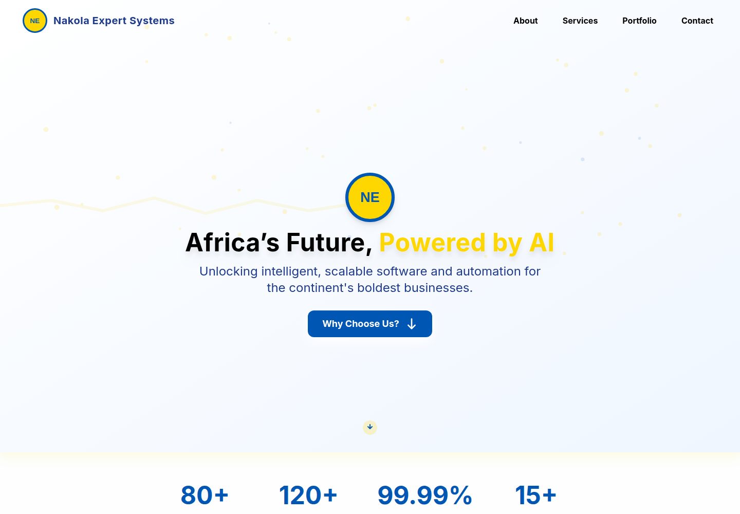Nakola Expert Systems public website screenshot