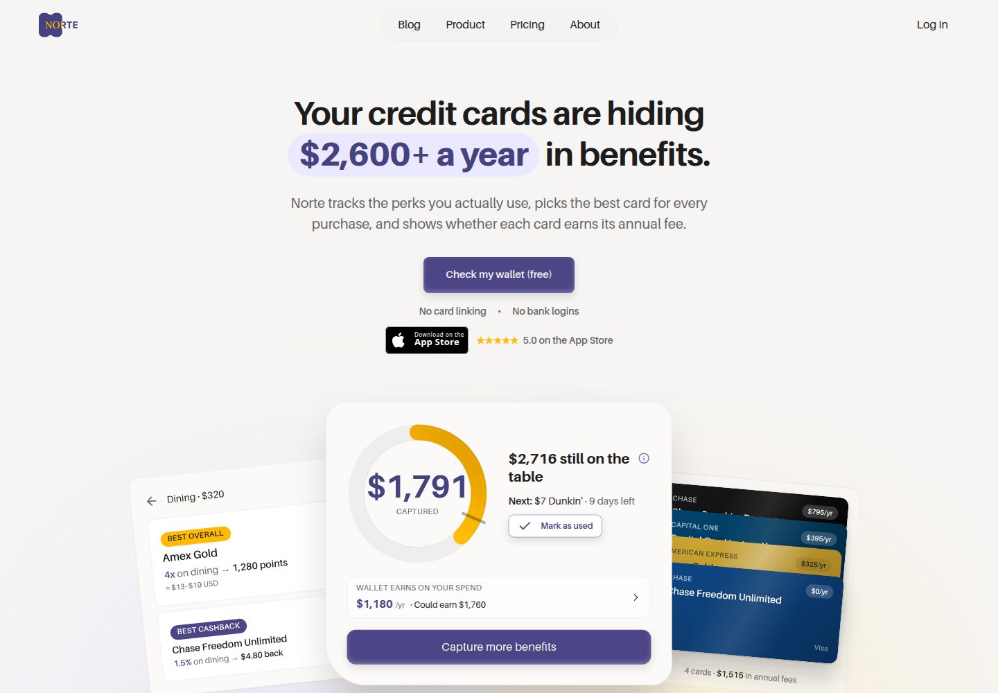 Norte public website screenshot