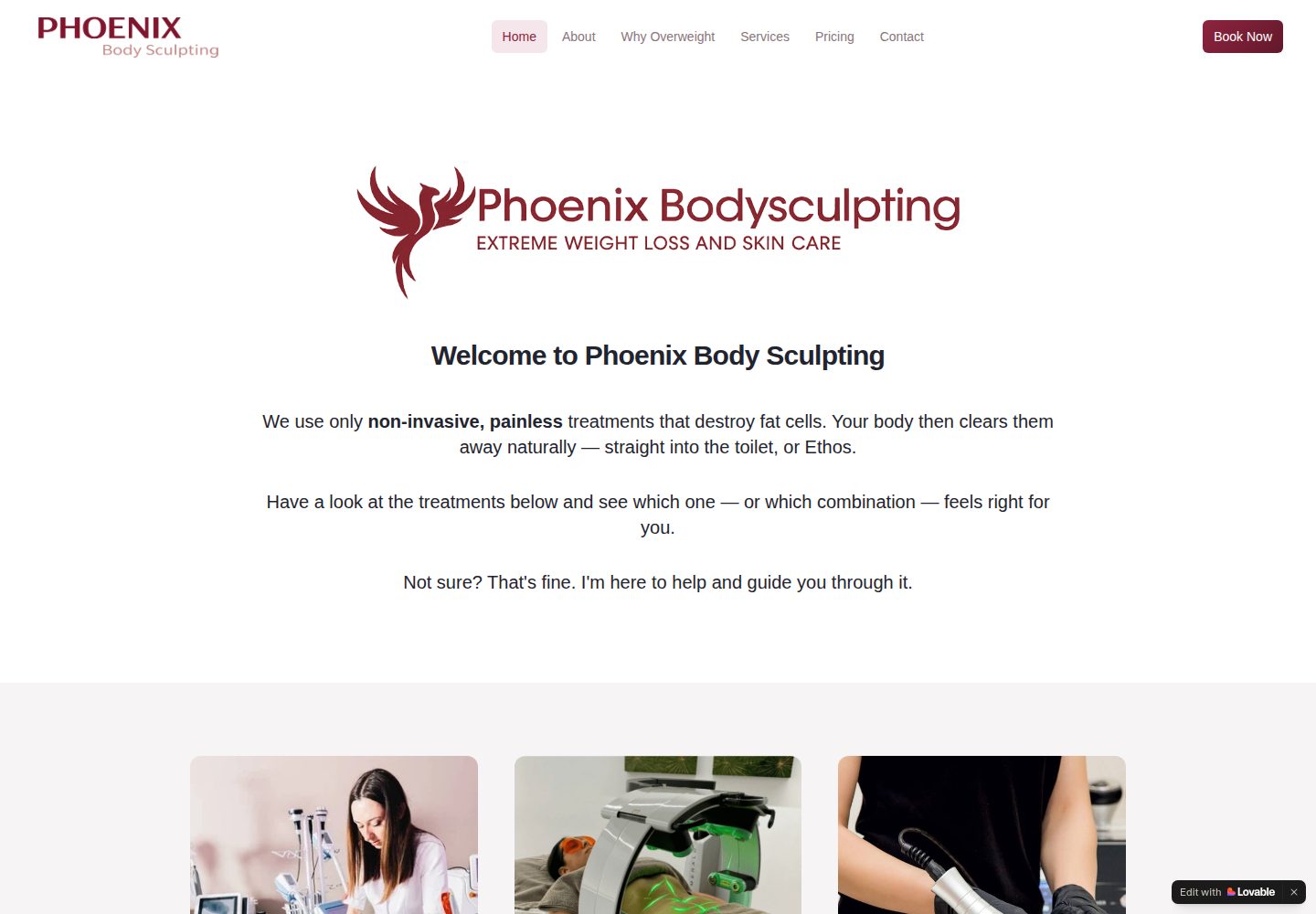 Phoenix Body Sculpting public website screenshot