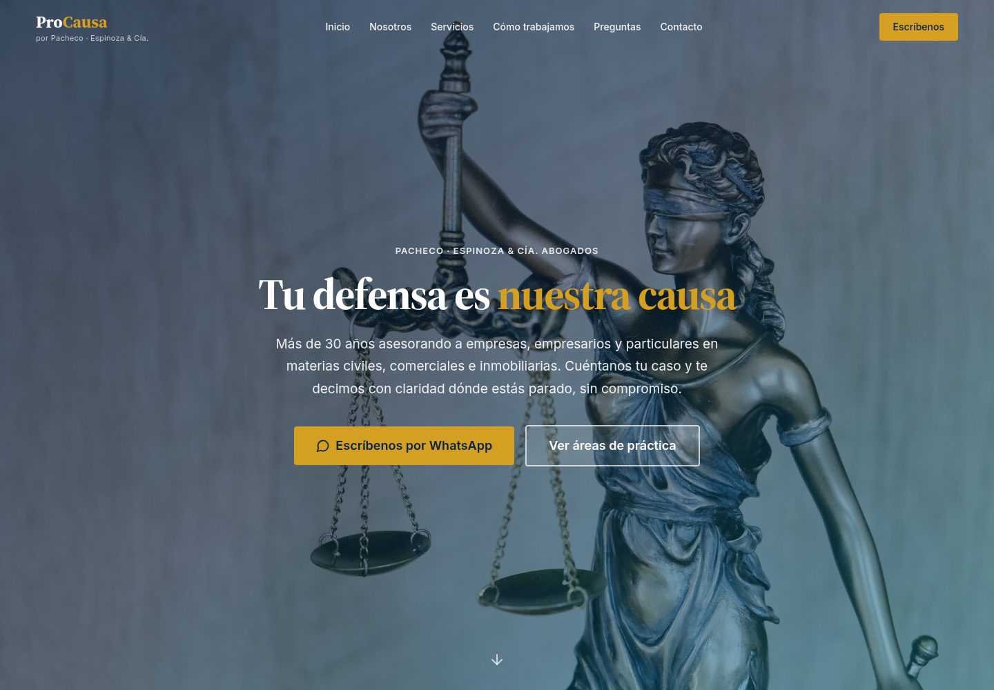 ProCausa public website screenshot