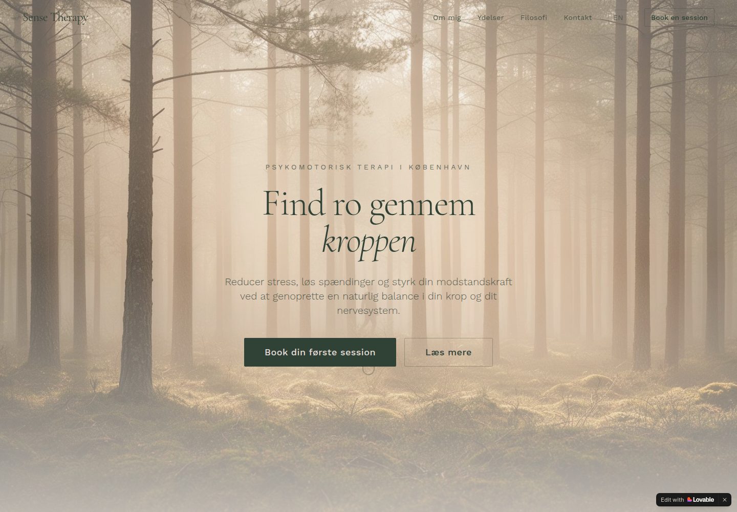 Sense Therapy public website screenshot