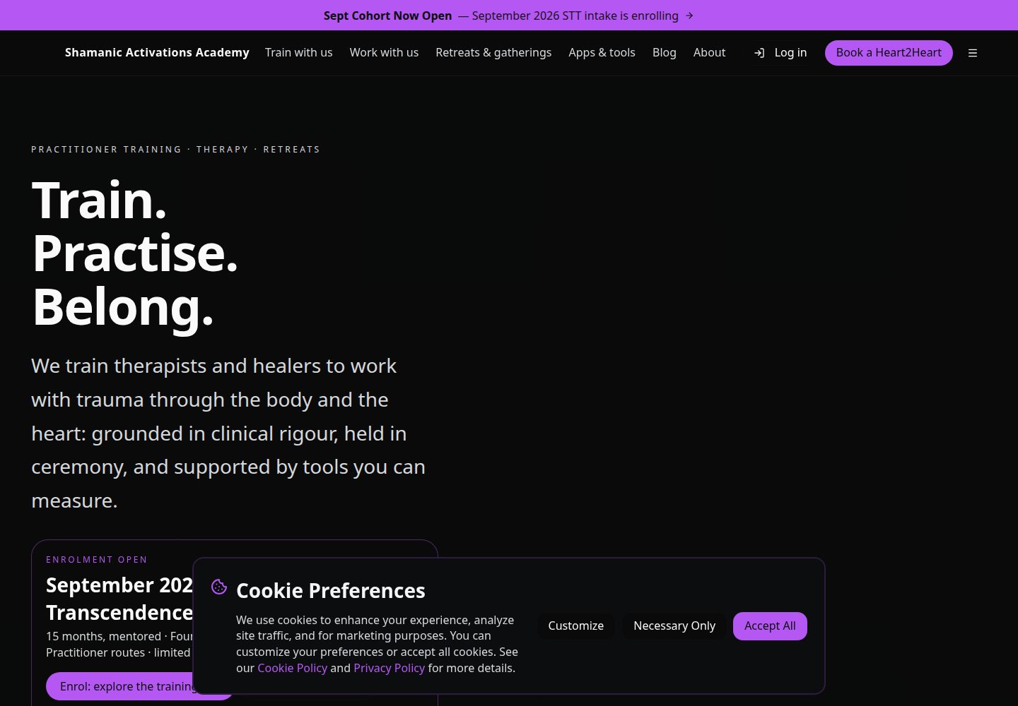 Shamanic Activations Academy public website screenshot