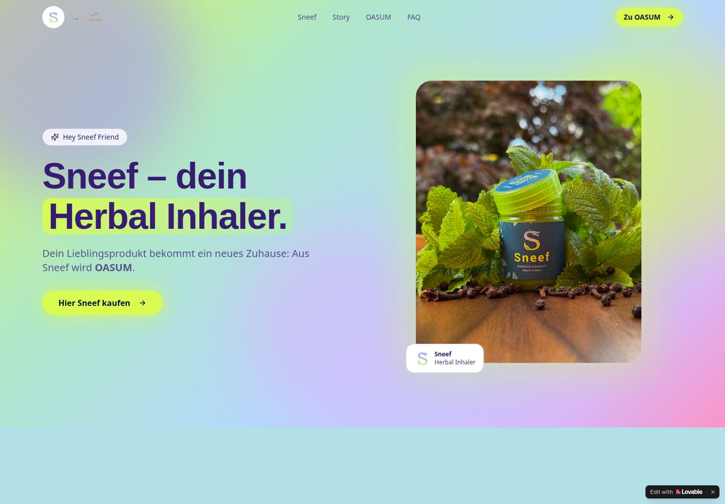 Sneef public website screenshot