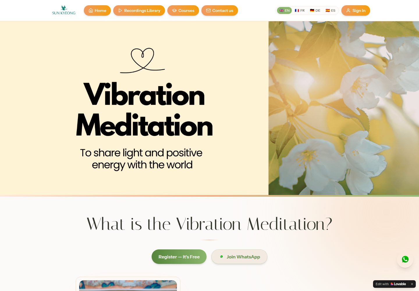 Vibration Meditation public website screenshot