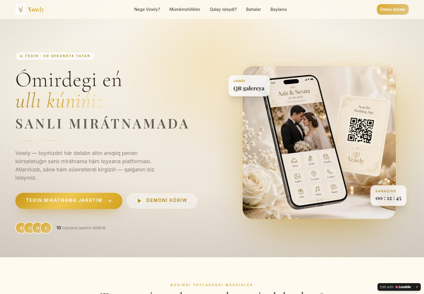 Vowly public website screenshot