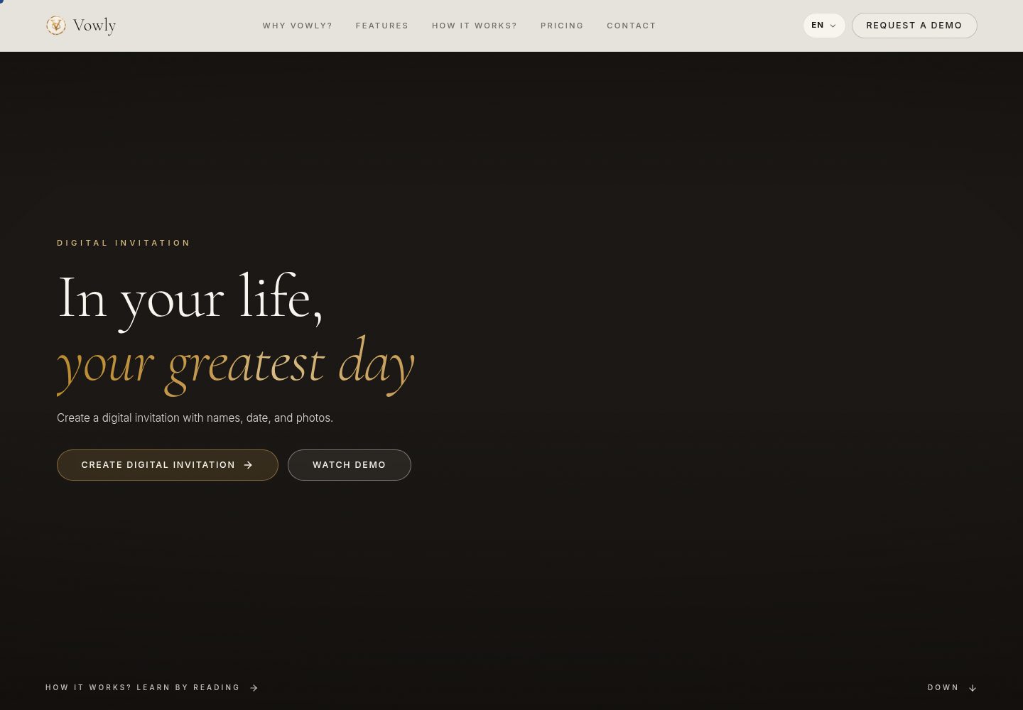 Vowly public website screenshot