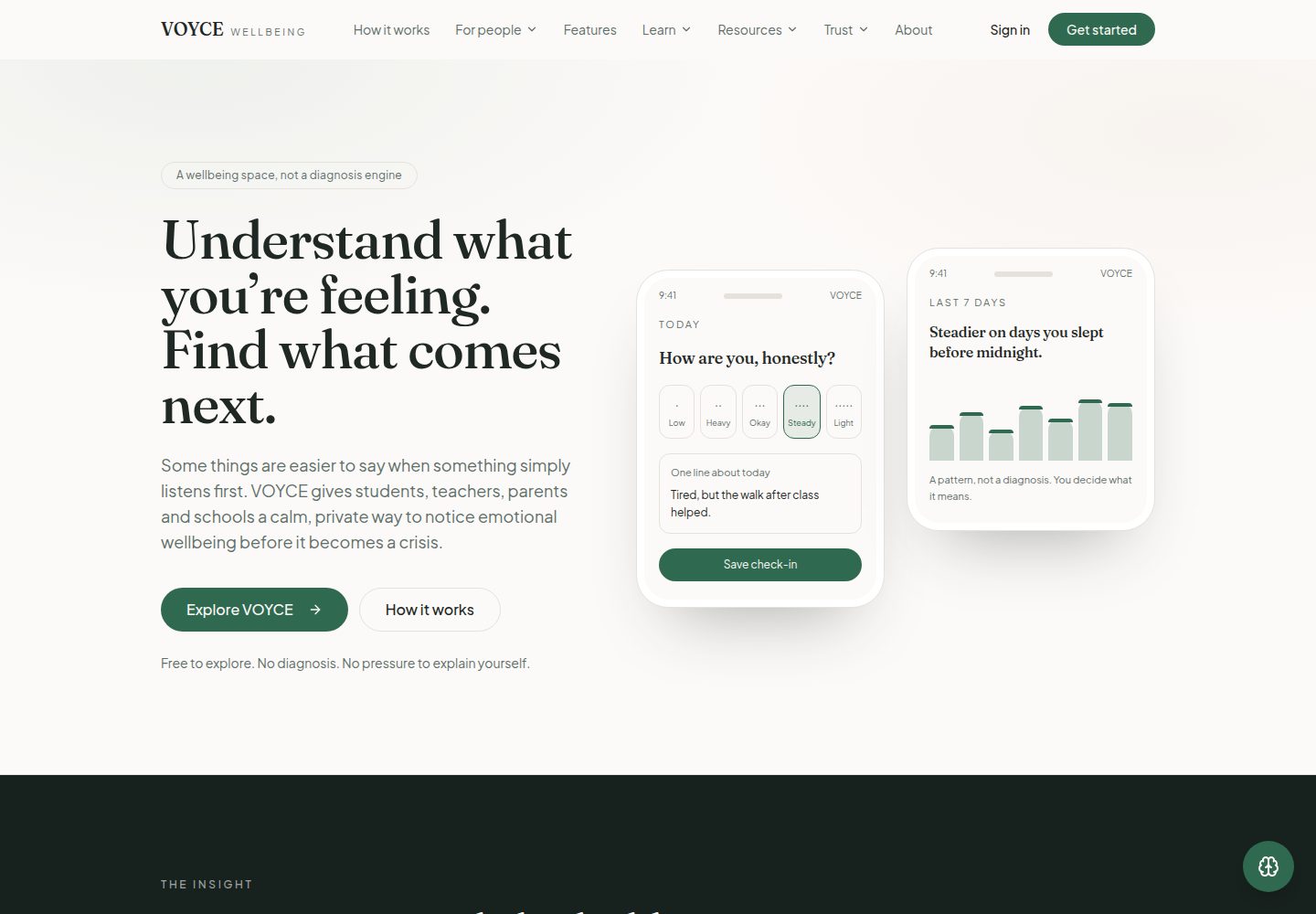 VOYCE public website screenshot